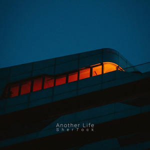 Another Life