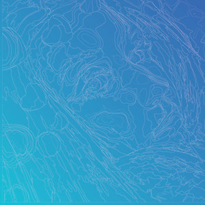 Everything You Wanted