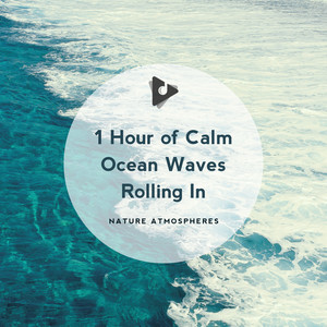 1 Hour of Calm Ocean Waves Rolling In