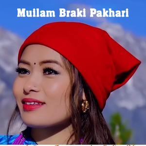 Muilam Braki Pakhari (feat. Sagar S Waiba)