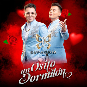 Un osito dormilon