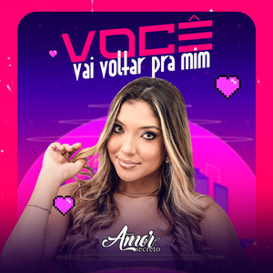 Você Vai Voltar Pra Mim