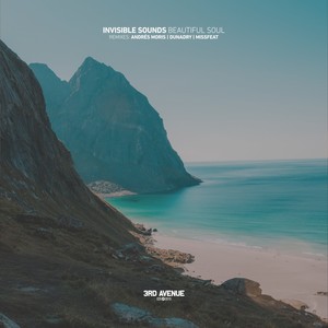 Beautiful Soul (Dunadry Remix)