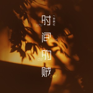 时间的贼 (DJ Eva版)
