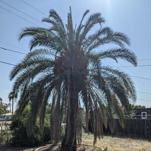 Superfluous were the sun When excellence is dead (Part Two)