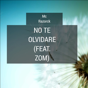 No Te Olvidare