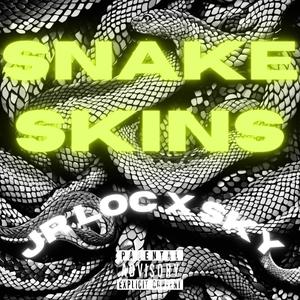 Snake Skins (feat. Jr Loc) (Explicit)