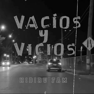 Vacíos y Vicios (feat. Aka Rapdilla, La Plana & SHI540) [Explicit]