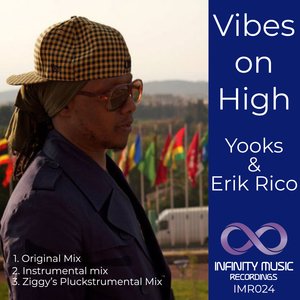Vibes On High (Ziggy's Pluckstrumental mix)