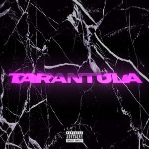Tarantula(feat. Bang3s) (Explicit)