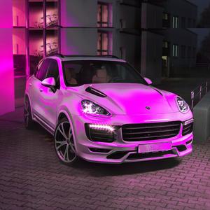 CAYENNE OUTSIDE (feat. realgeeker, Sided, lmaopay & LOSTBOY PRESLEY) (Explicit)