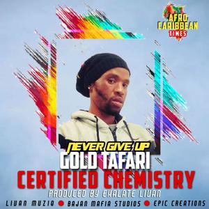 Never Give up (Certified Chemistry Riddim) (feat. Gold Tafari)