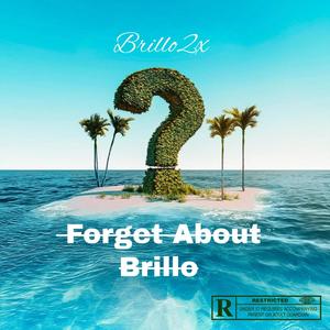 Forget About Brillo (Explicit)