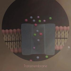 Transmembrane