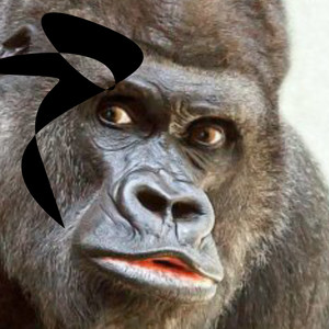 Idę Do Zoo (Explicit)