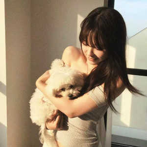 风伴着黎明的歌声 (动感版)