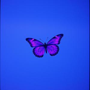 Liria (ALBANIAN DEEP HOUSE)