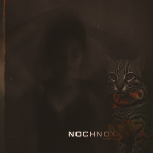 Nochnoy