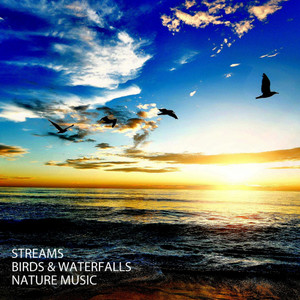 Ambient Sound Of Nature