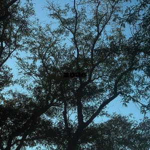 Billboard (feat. PERP) (Explicit)