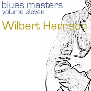 Blues Masters-Vol. 11