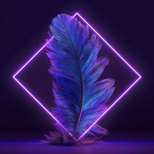 Fragility (OBLVYN Remix)