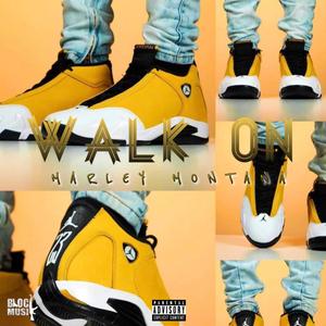 Walk On (Explicit)