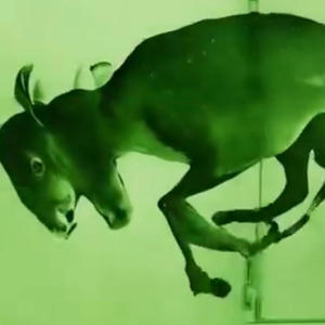 AlrdyDonDidIt (Explicit)