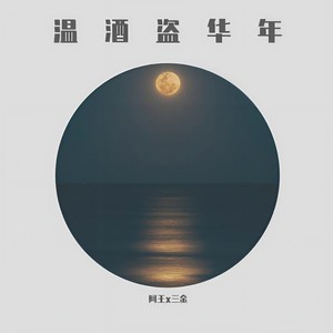 温酒盗华年封面