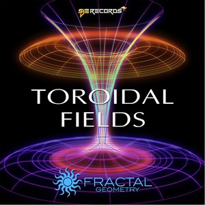 Toroidal Fields