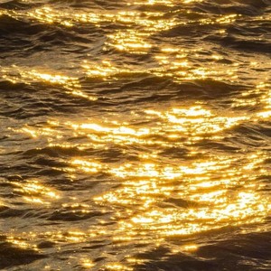 念念不忘 (Remix)