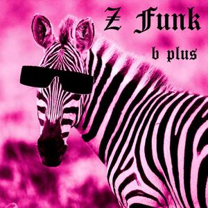 Z Funk(run zebra run)