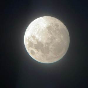 cancer free! (Explicit)