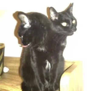 this is soulless uninspired depressing hard to watch bro