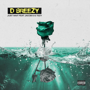 Just Wait (Explicit)