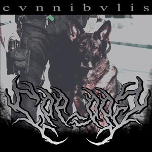 COP = DOG II (Explicit)