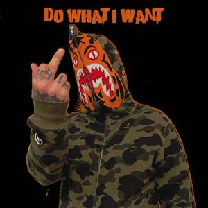 Do What I Want (Explicit)