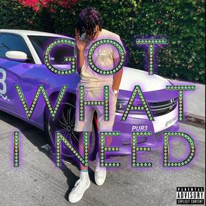 Got What I Need(PROD. OjayVibez) (Explicit)