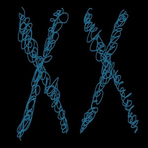 Intro (Original Mix)