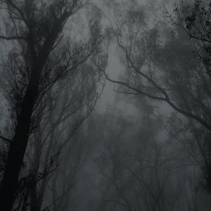 the hills (feat. TeziFrmDaZoo, YMM KULTURE & YMM LIL MOE) (Explicit)