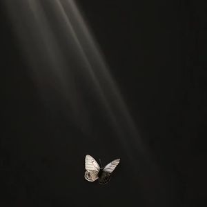 Fireworks（花开了）-138BPM