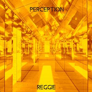 Perception (Explicit)