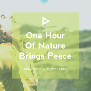 Listened To Nature
