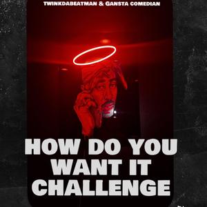 How do u want it challenge (feat Twinkdabeatman & Gansta comedian) [Explicit]