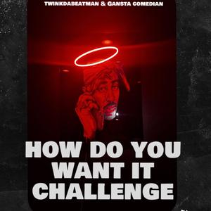 How do u want it challenge (feat. Twinkdabeatman & Gansta comedian) (Explicit)