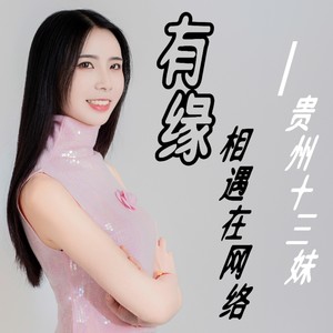 有缘相遇在网络 (伴奏)