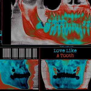 Love Like A Tooth (Explicit)