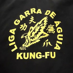 Liga Garra de Águia Theme (Kung-Fu)