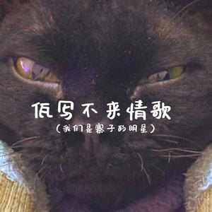 佤写不来情歌 (DJ版)