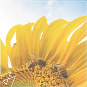 Heat Waves-Madilyn